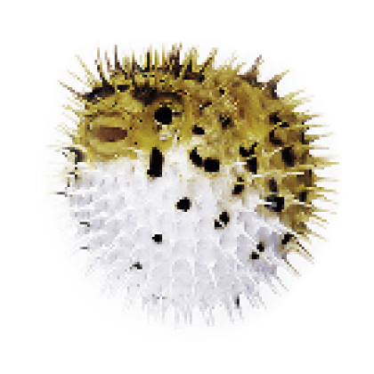 Mrs. Puff's Badge